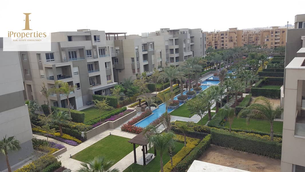 5 56547264_2303676119906744_2931379664158982144_n. jpg