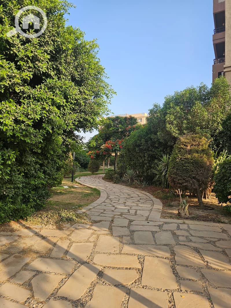 8 36b3a4bf-0a8a-44e4-94ac-0bb2e8a52e54. jpg