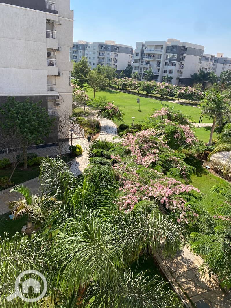 10 b37f7897-aca9-4f38-860c-4a6879be9b1f. jpg