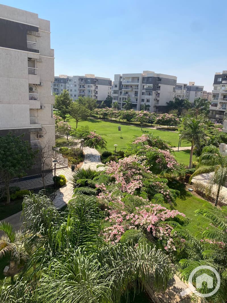 11 094ff5ba-e776-4225-a8b7-0d6f36068c0c. jpg