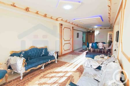 3 Bedroom Apartment for Rent in Shatby, Alexandria - IMG-20251126-WA0089. jpg