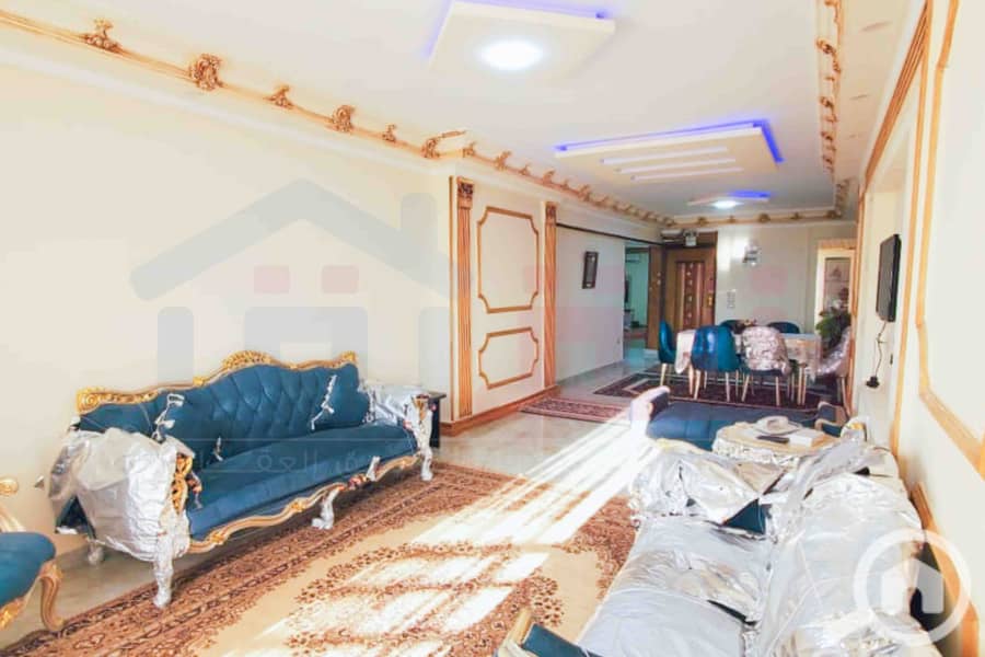 IMG-20251126-WA0089. jpg