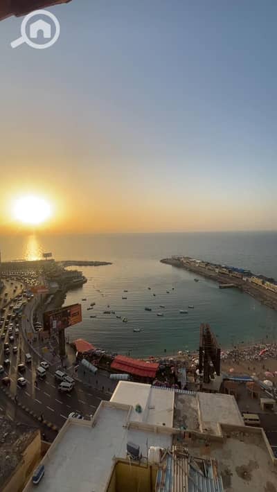 شقة 3 غرف نوم للايجار في جليم، الإسكندرية - WhatsApp Image 2025-11-29 at 12.24. 56 PM. jpeg