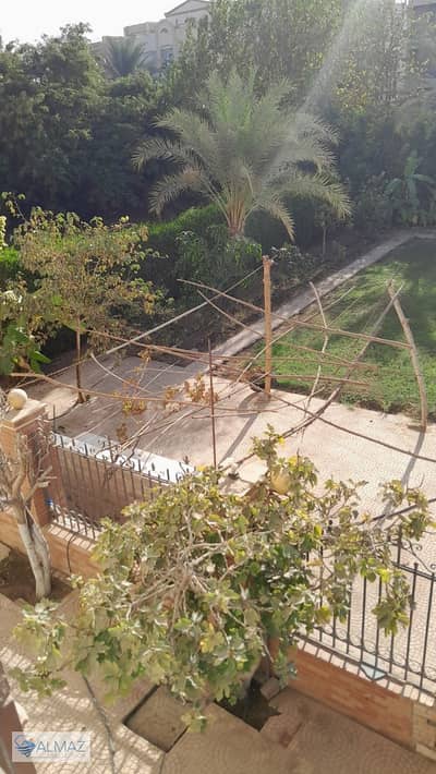 فیلا 3 غرف نوم للايجار في القاهرة الجديدة، القاهرة - WhatsApp Image 2025-11-29 at 12.40. 36 PM. jpeg