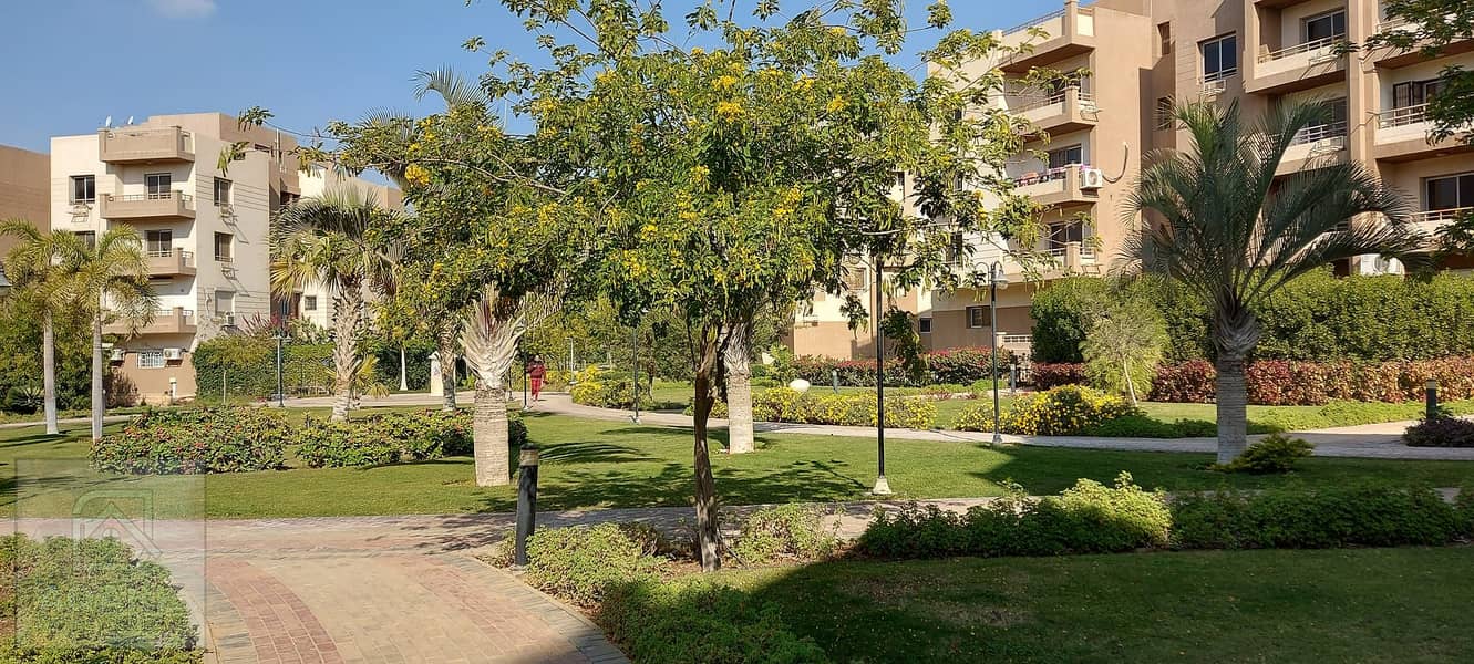 3 473086870_10162842434689809_6257820013689400754_n. jpg