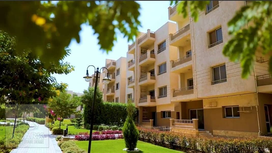 5 9216e132-6591-4e43-9946-300b3ff49e0e. jpg