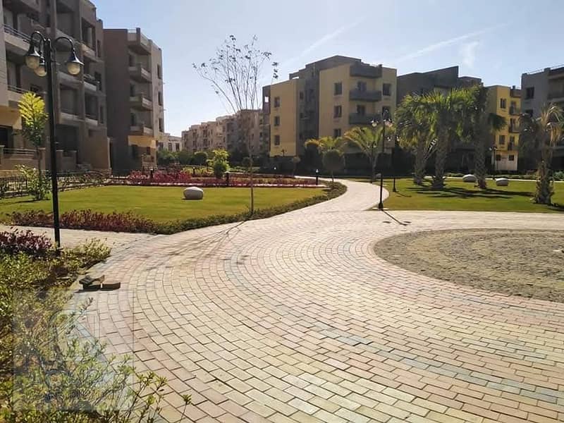 7 bf5b240d-d2bb-49bd-806d-f94baaee913c. jpg