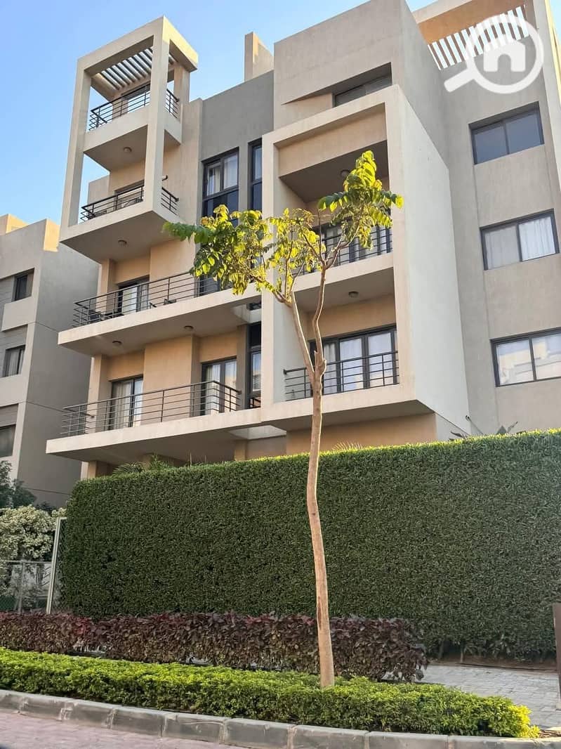 10 WhatsApp Image 2025-01-03 at 22.57. 59_c545eb77. jpg