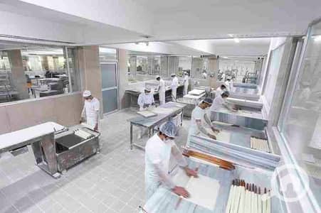 مصنع  للايجار في القاهرة الجديدة، القاهرة - 1000214196. jpg