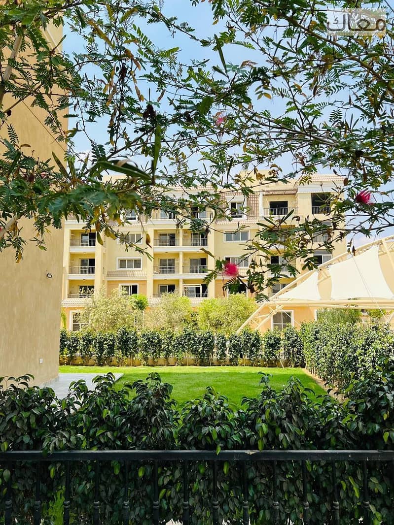 5 7f37fed2-c4b6-436e-bef7-6f8aac3dfb59. jpeg