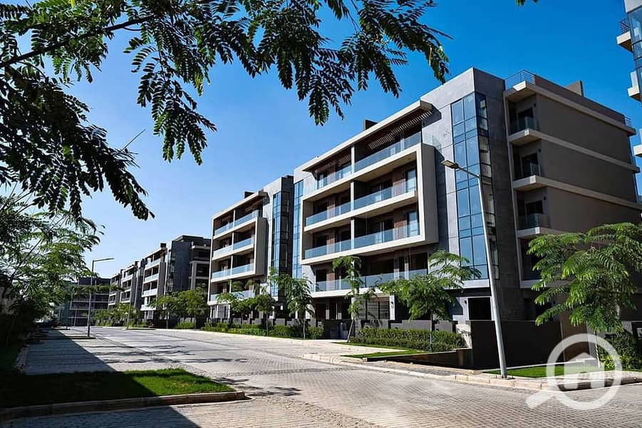 8 574576879_122135963654956646_2328393867856919894_n. jpg