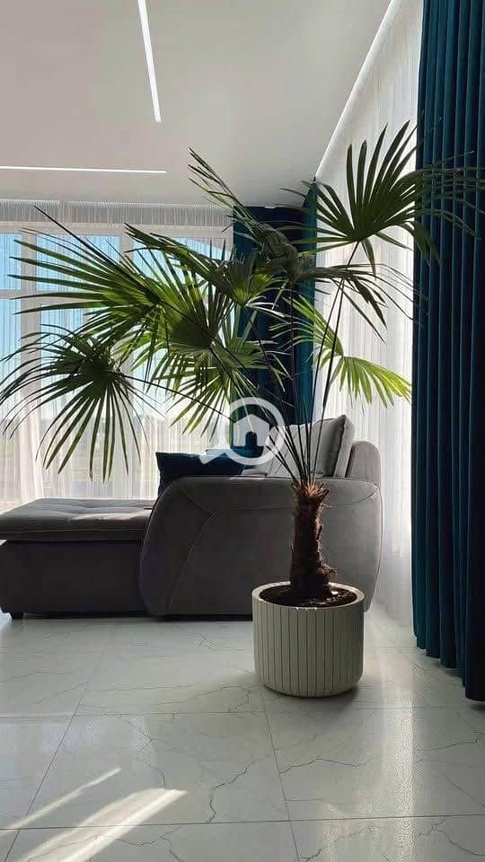 8 577483456_700839383059549_8162123153154998810_n. jpg