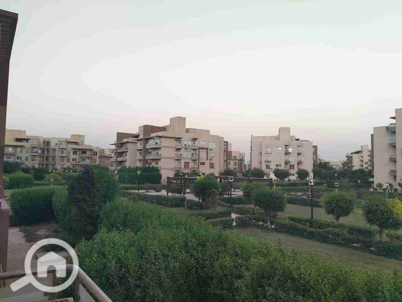 2 IMG-20251009-WA0028. jpg