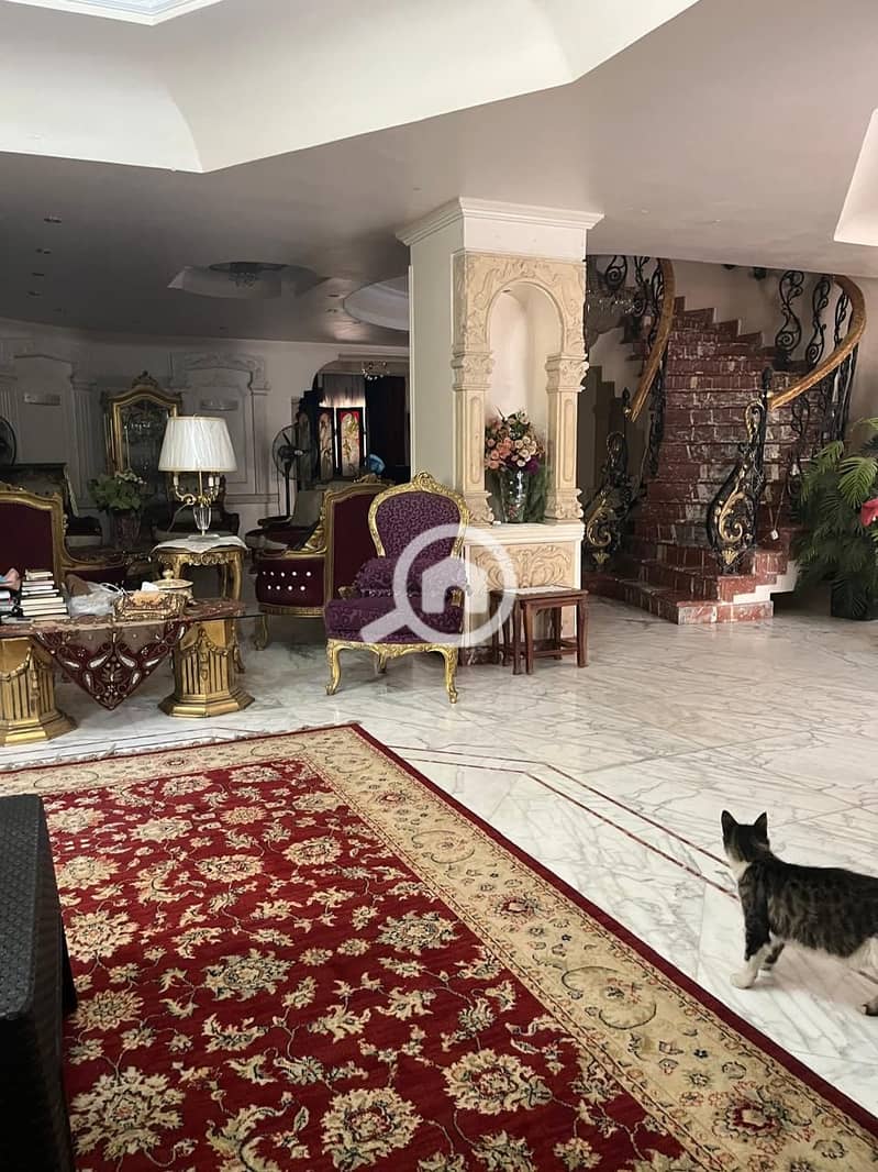 10 e9802635-58d3-433c-af05-18e9eb21030d. jpg