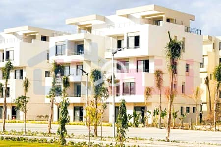 3 Bedroom Villa for Sale in Amreya, Alexandria - WhatsApp Image 2024-12-06 at 3.47. 21 AM. jpg