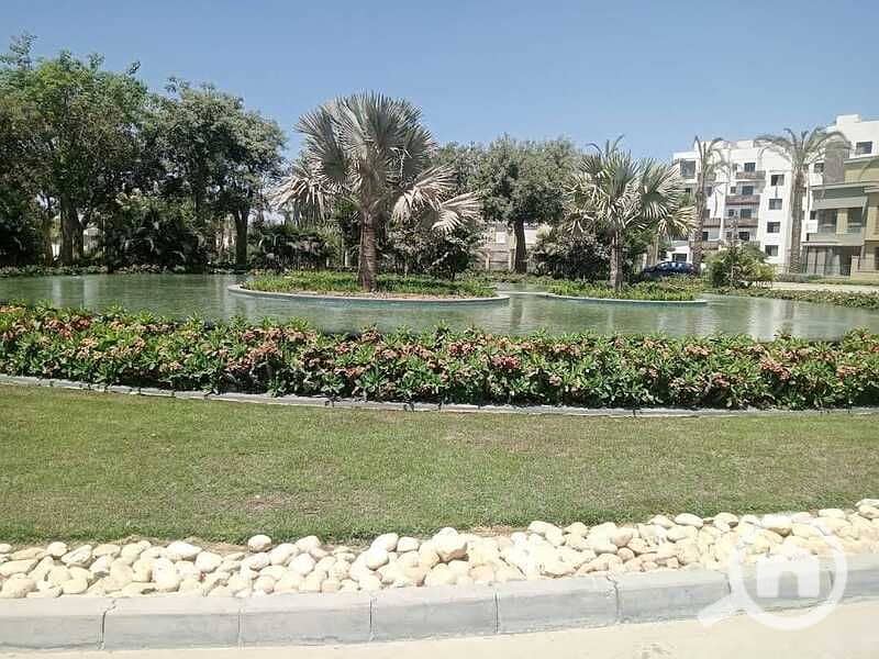 12 ab35df4c-074e-4e48-b246-49f0068267fb. jpg