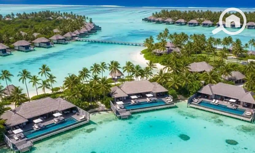 2 3173ae32-a85b-487c-805a-55eabfbd22c3. jpeg