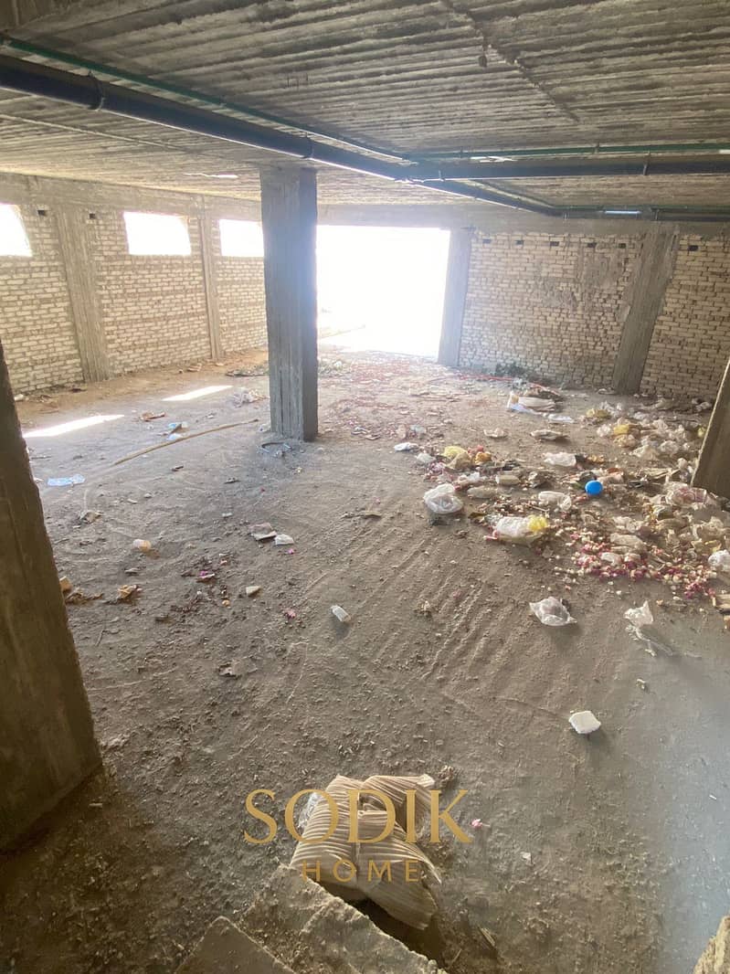 5 WhatsApp Image 2025-10-14 at 3.52. 56 PM (2). jpeg