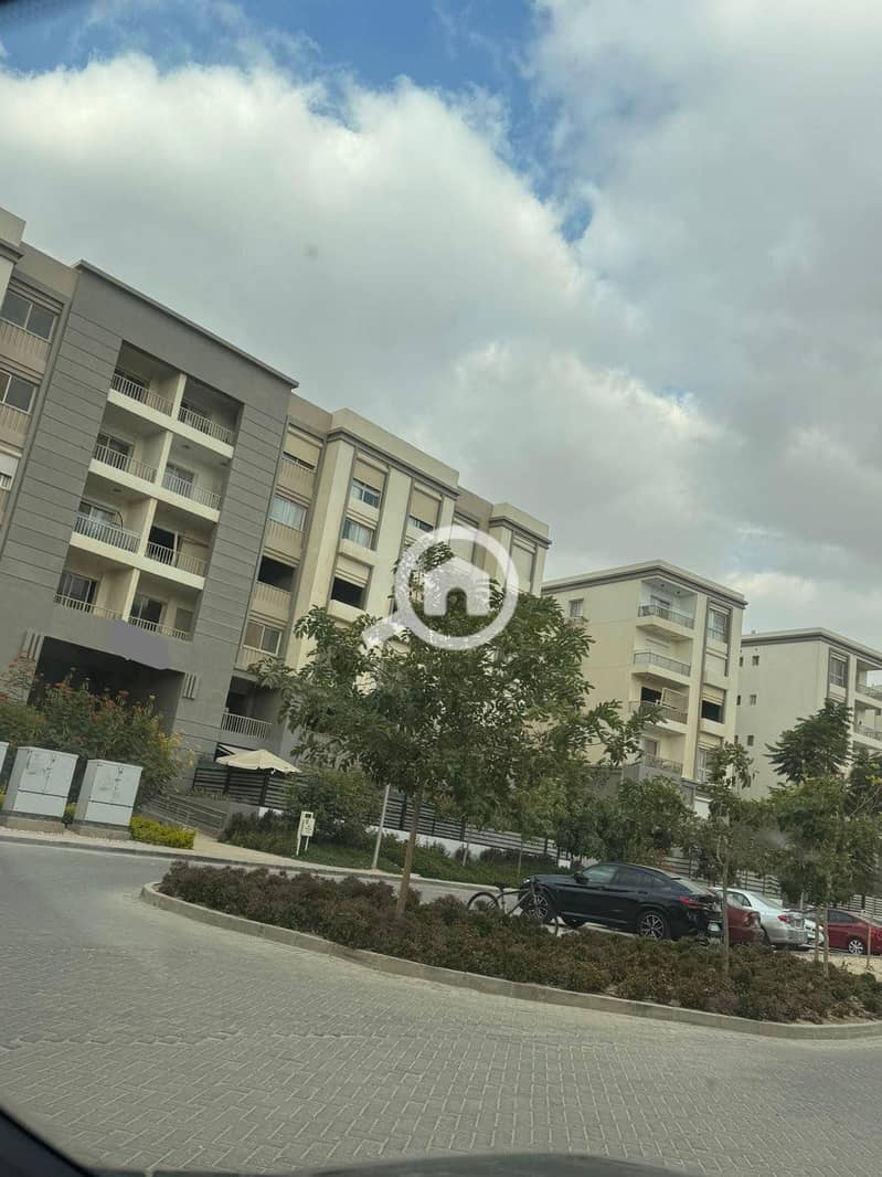 10 565127744_122239723292133709_880285097541926441_n. jpg