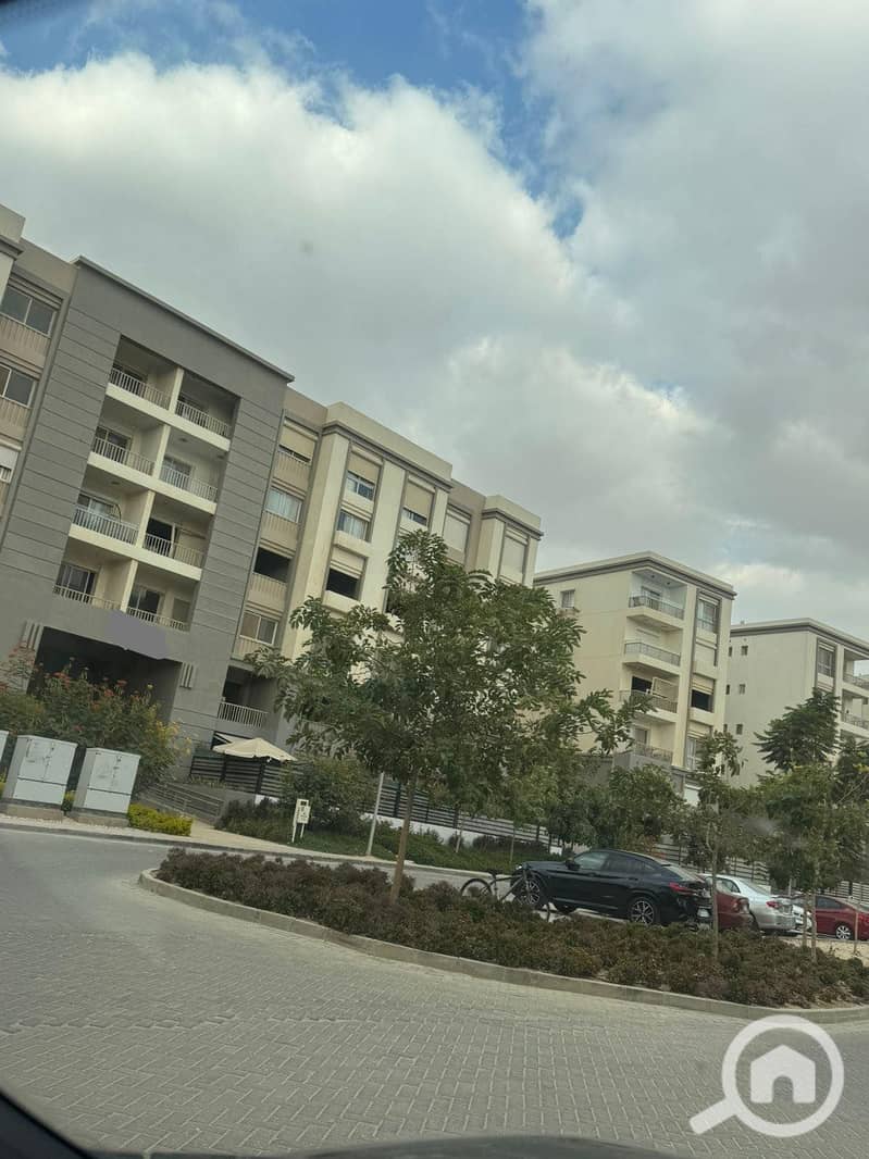 10 565127744_122239723292133709_880285097541926441_n. jpg