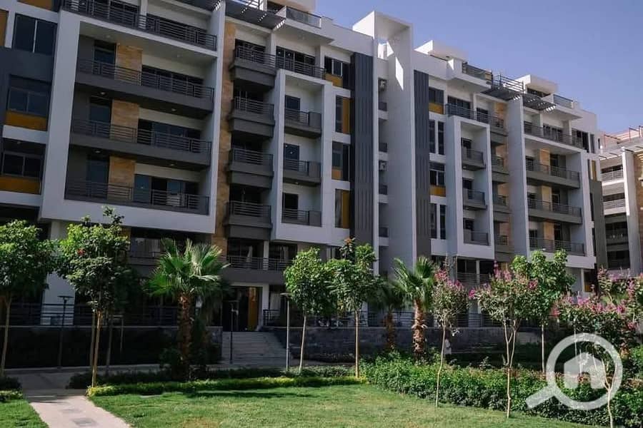 7 588566361_1626744518308984_4085277949091655100_n. jpg