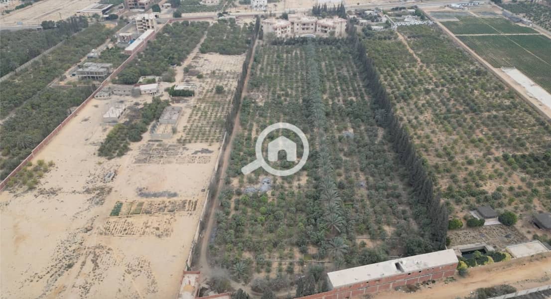 3 WhatsApp Image 2025-01-16 at 12.45. 16 PM (2). jpeg