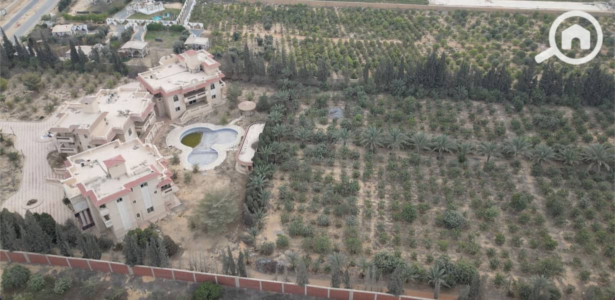 4 WhatsApp Image 2025-01-16 at 12.45. 16 PM (1). jpeg