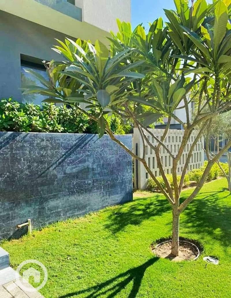 4 576212954_714598778326974_2733470633751981038_n. jpg