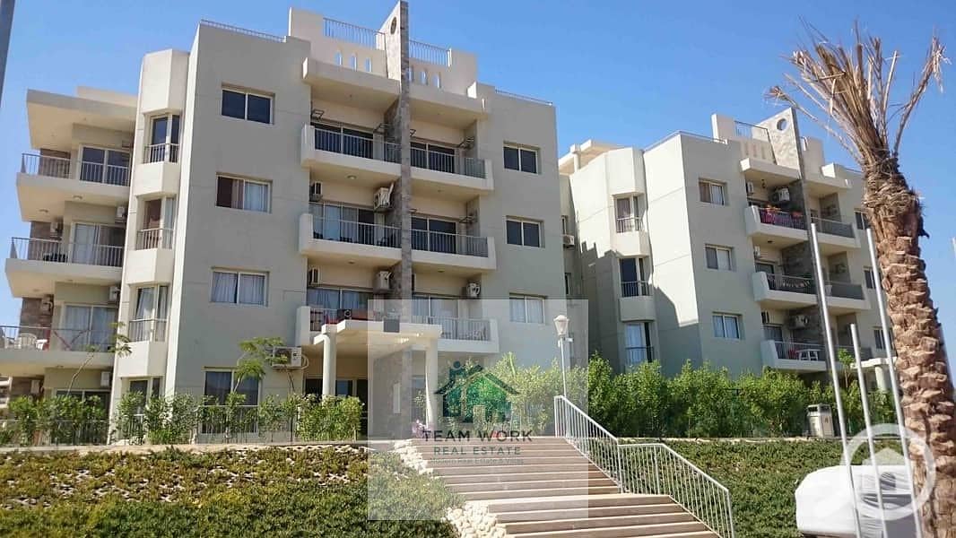 10 27119298-800x600. jpeg