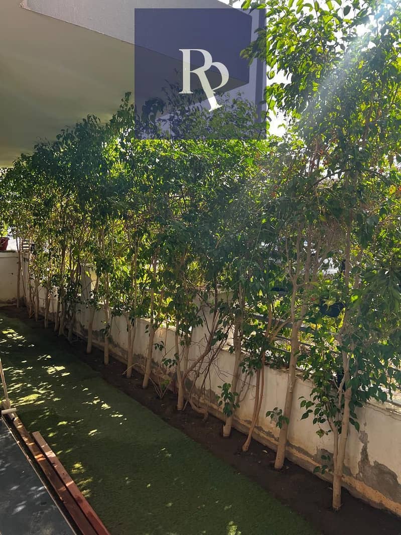 4 WhatsApp Image 2025-09-10 at 2.31. 56 PM. jpeg