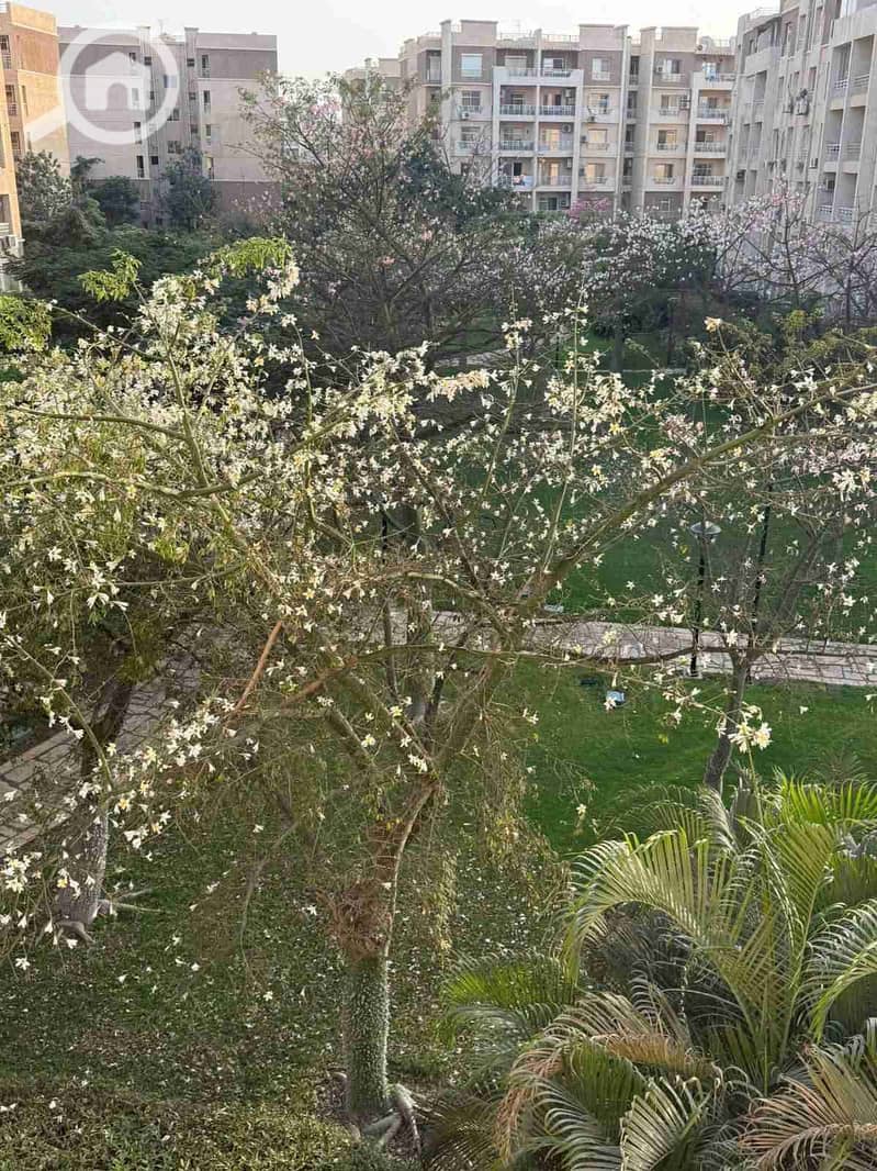 2 FB_IMG_1764414526791. jpg