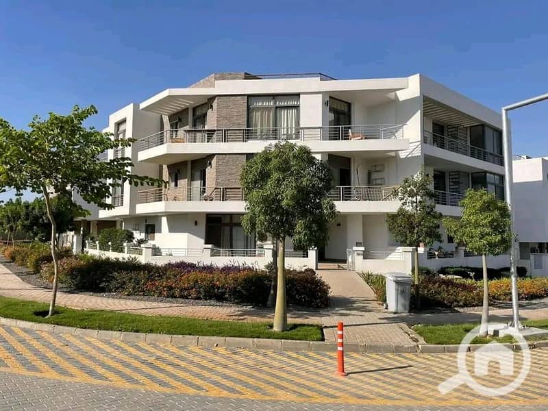 4 586045815_843457171614723_3226615618014256870_n. jpg