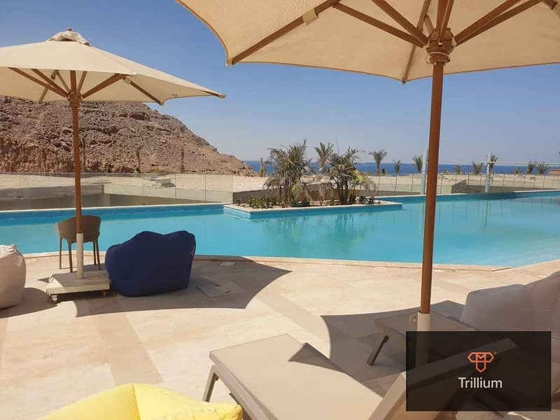 4 555566003_809850194835552_5096585074394554073_n. jpg