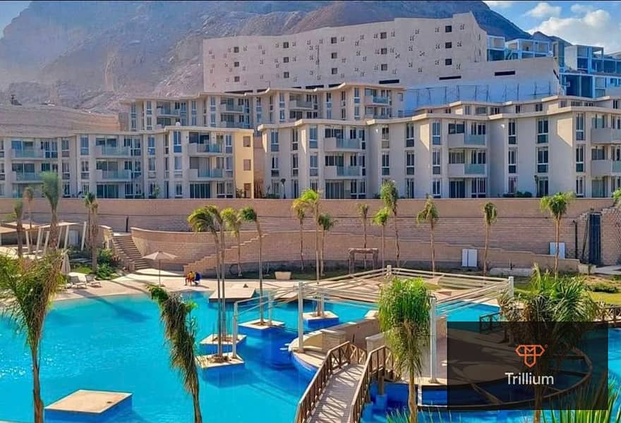 7 514197245_10033225766772794_8281285298829763248_n. jpg