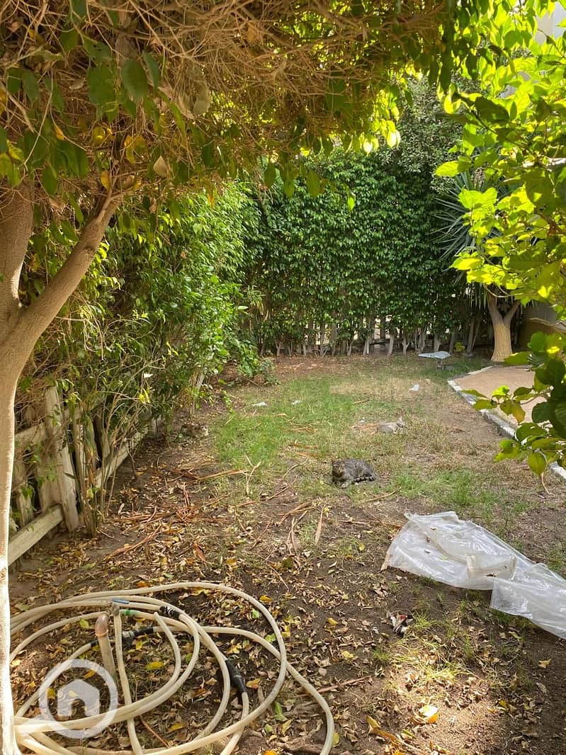 8 WhatsApp Image 2025-10-03 at 4.04. 47 PM. jpeg