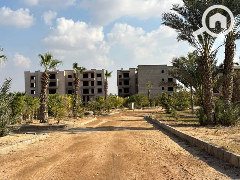 3 WhatsApp Image 2025-09-15 at 12.22. 28_166dd313. jpg