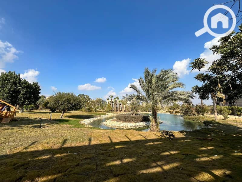 12 WhatsApp Image 2025-09-15 at 12.22. 30_9c2d03a7. jpg