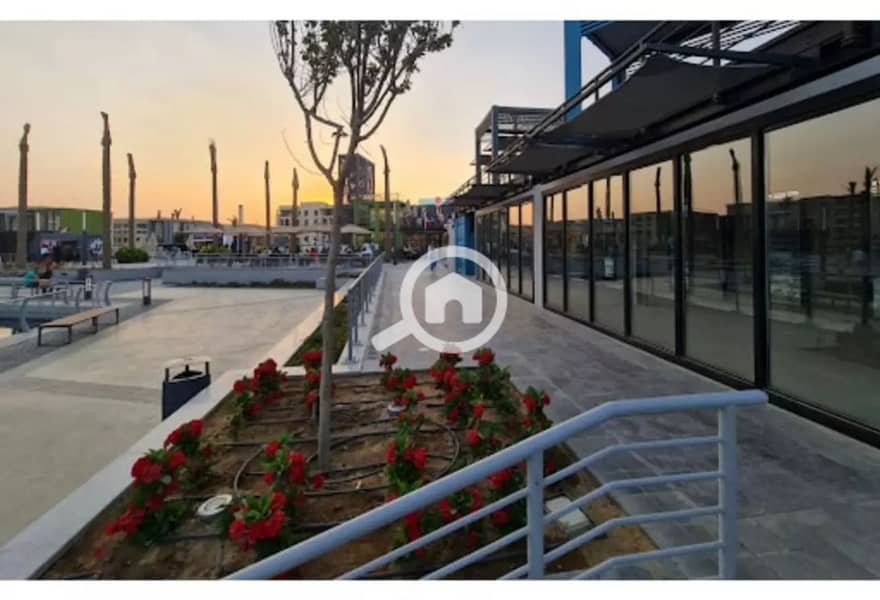 Mivida 6. jpeg Mivida 6. jpeg