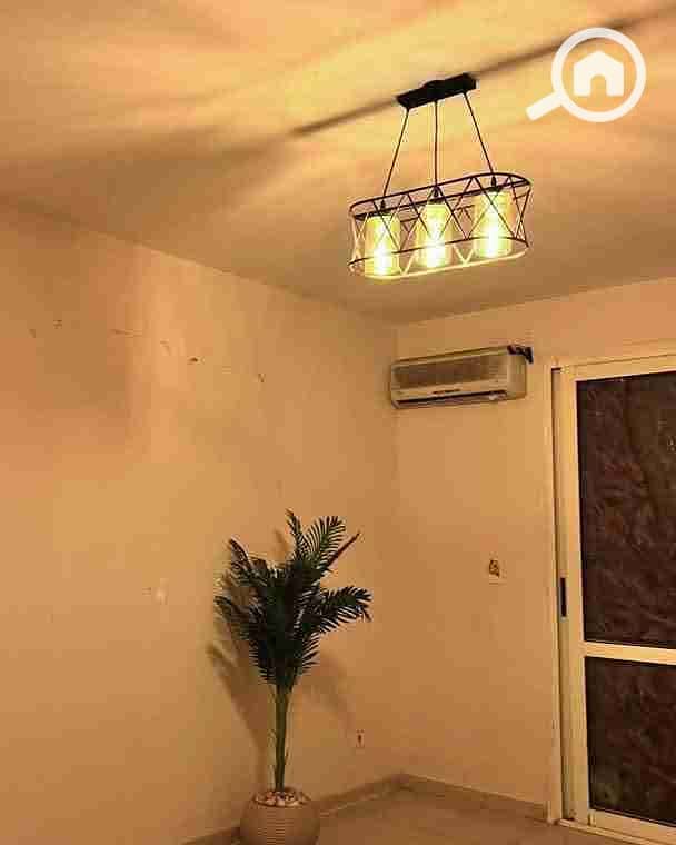 5 FB_IMG_1764417301091. jpg