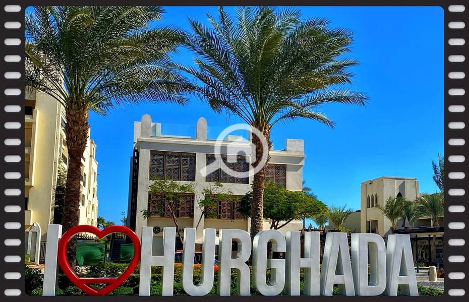 3 555829187_1246316524179081_6970223248131849609_n. jpg