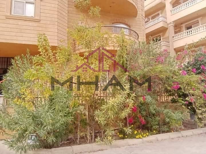 2 photo_5855166711361899494_x. jpg