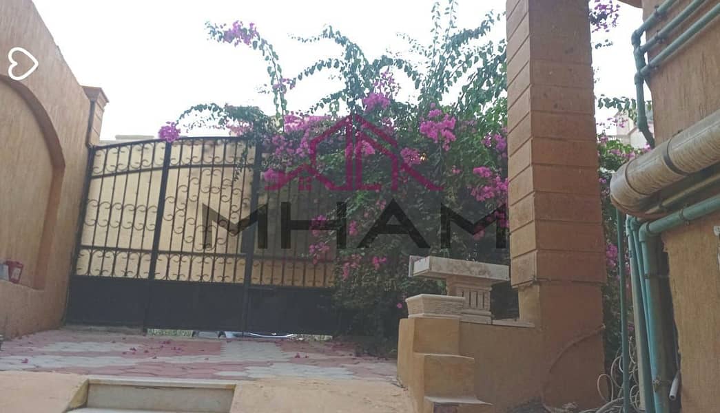 11 photo_5855166711361899499_y. jpg