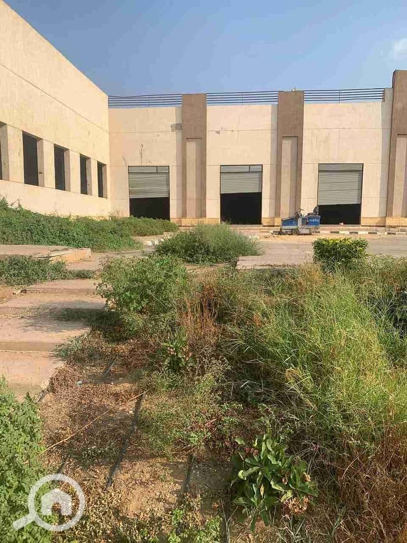 2 FB_IMG_1754968557583. jpg