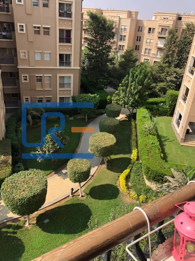 . . . . . . . . . . . jpg