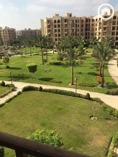 فلیٹ 2 غرفة نوم للايجار في القاهرة الجديدة، القاهرة - WhatsApp Image 2025-11-29 at 16.33. 20_445d8072. jpg