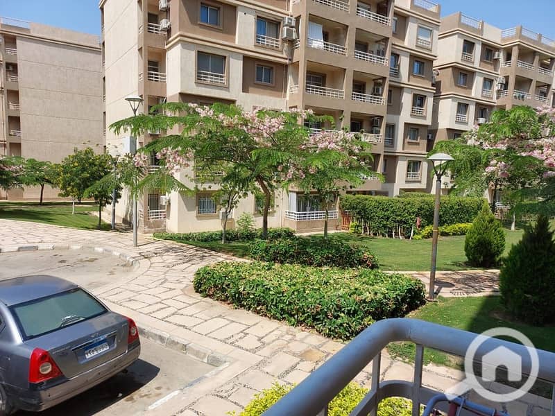 6 16efd269-0bc0-4fb1-835f-27bbc24ce441. jpeg