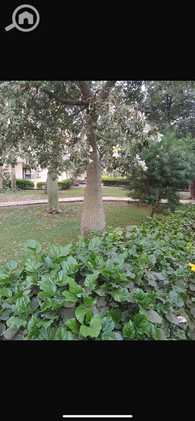 3 Bedroom Apartment for Rent in New Cairo, Cairo - IMG_8765. png