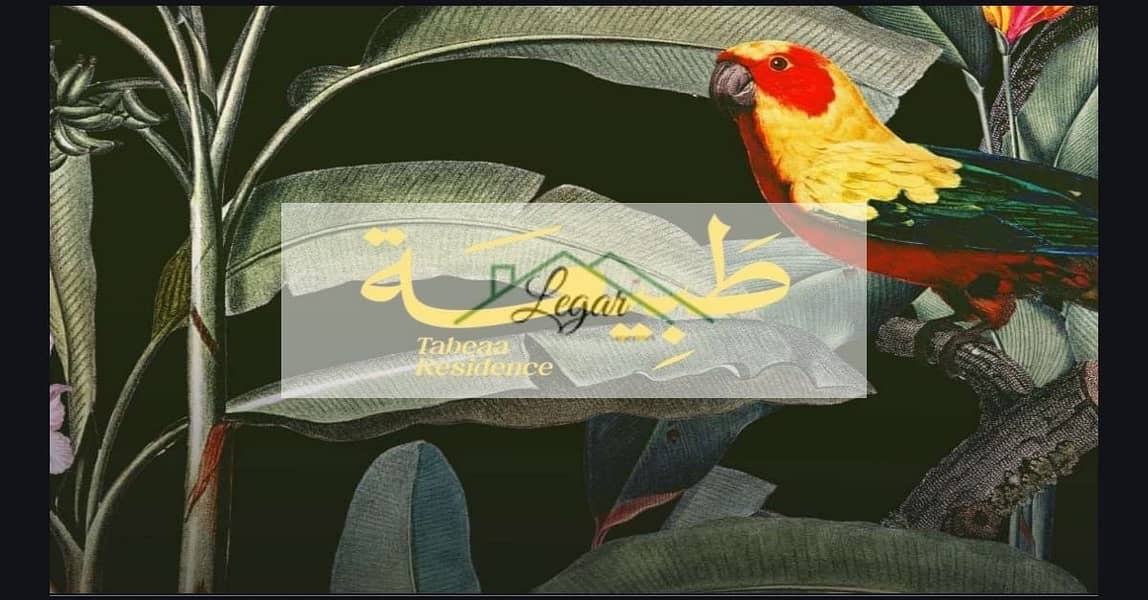 10 WhatsApp Image 2025-11-29 at 14.32. 53_590b7745. jpg