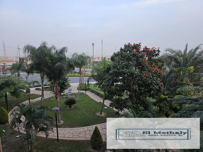 2 0767335b-9ff8-4bf4-bfab-4ba45ea27a5f. jpg