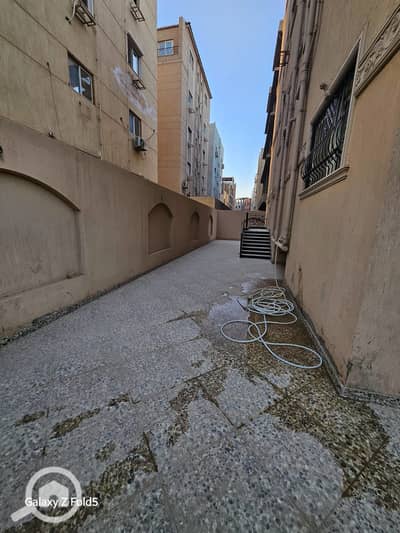 دوبلكس 4 غرف نوم للايجار في القاهرة الجديدة، القاهرة - IMG-20251119-WA0168. jpg